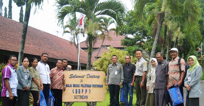 Empat Kadistan di NTT Kunjungi BBPP Ketindan Jajaki Pelatihan SDM Pertanian